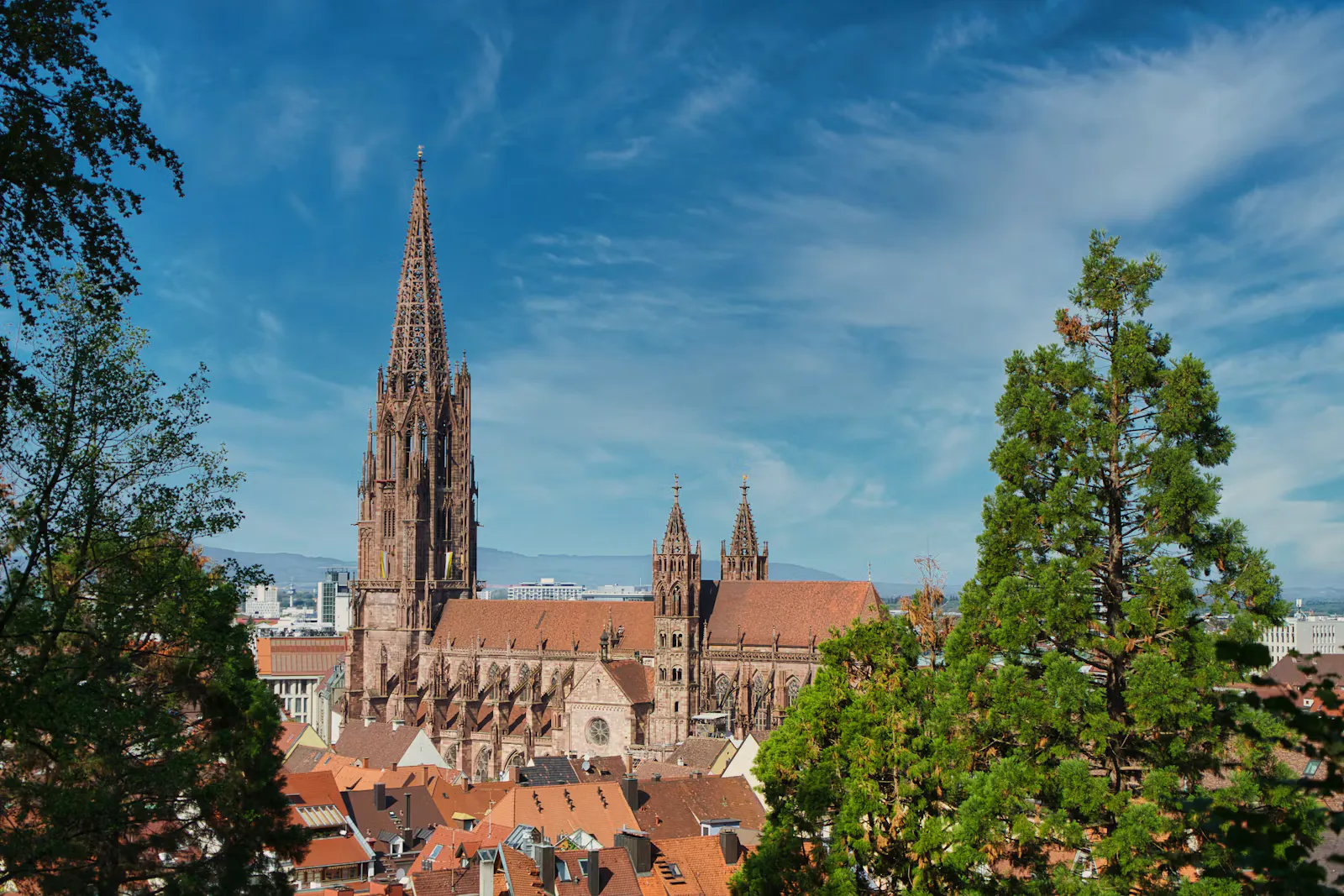 Freiburger Münster mit seinem hohen gotischen Turm aus rotem Sandstein über den Ziegeldächern der Altstadt, umrahmt von Bäumen und blauem Himmel