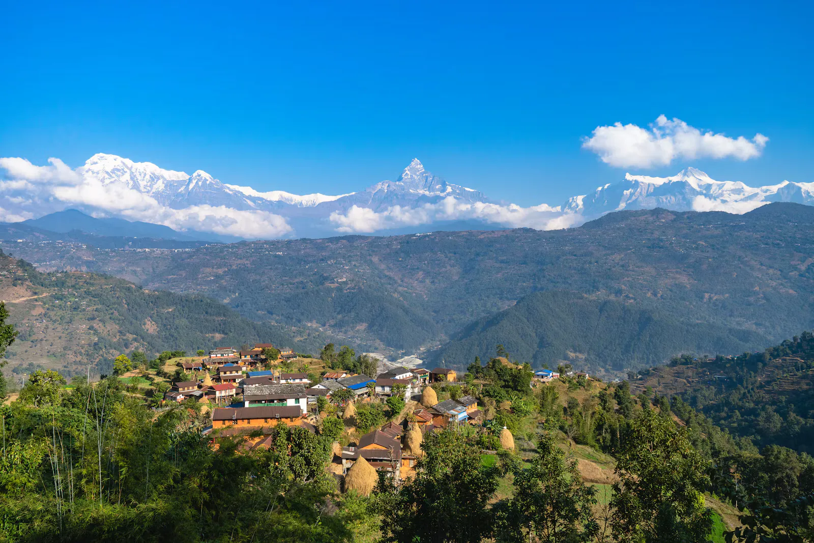 Dorf mit Steinhäusern und Heuhaufen auf einem grünen Hügel in Nepal, dahinter schneebedeckte Himalaya-Gipfel unter blauem Himmel