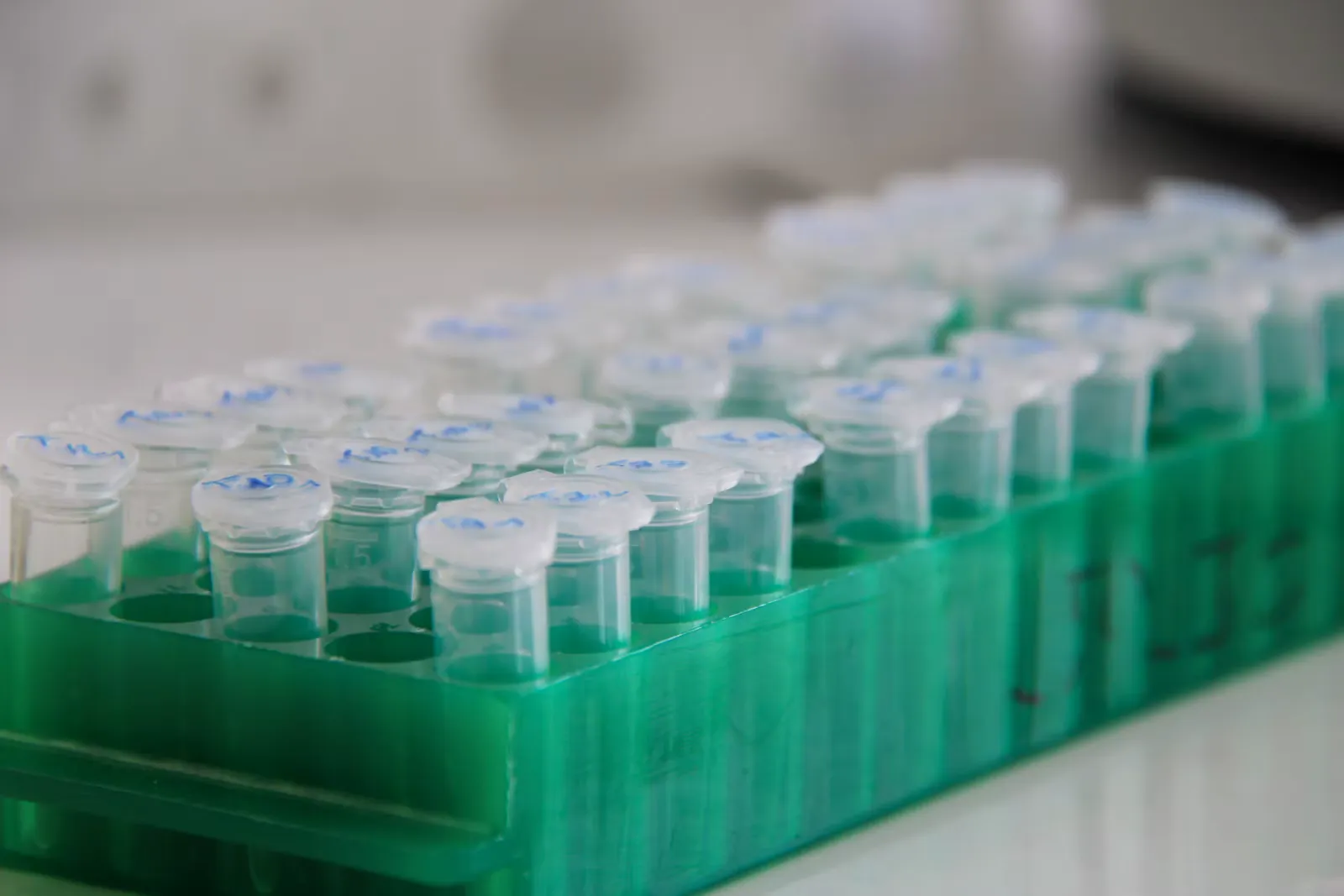 A green rack of small capped sample tubes standing on a laboratory bench