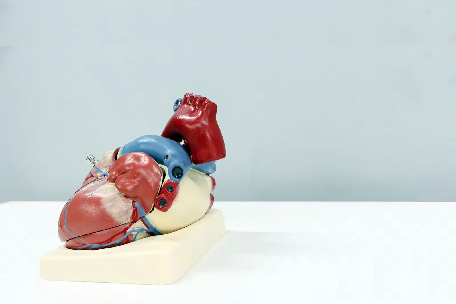 Cardiothoracic Surgeon in India: Role, CTVS and Training