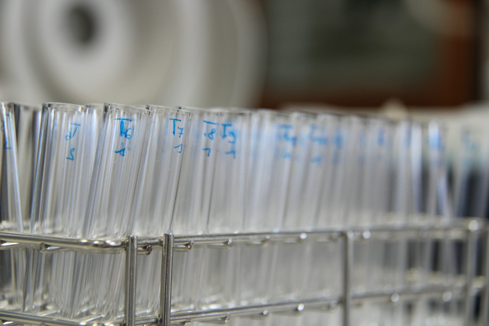 Biochemie lernen: Citratzyklus und Stoffwechselwege merken