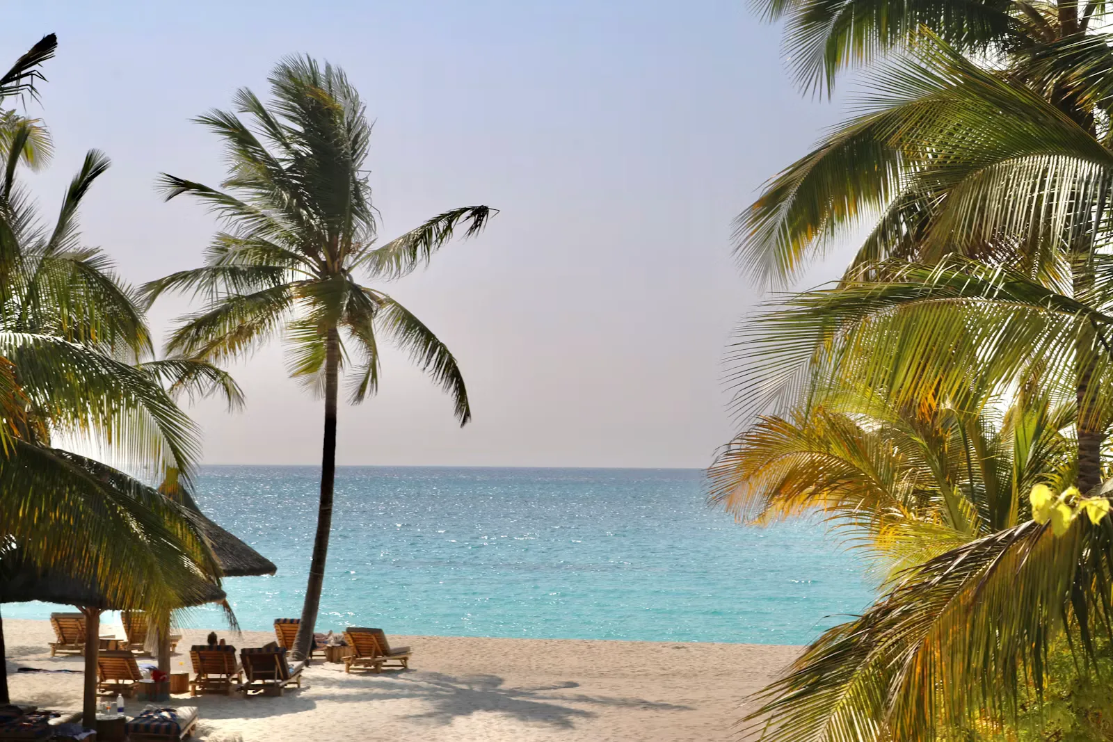Palmengesäumter Tropenstrand mit türkisfarbenem Meer und Liegestühlen, Sinnbild für die Reiseziele, an denen travel4med Famulaturen und Pflegepraktika organisiert