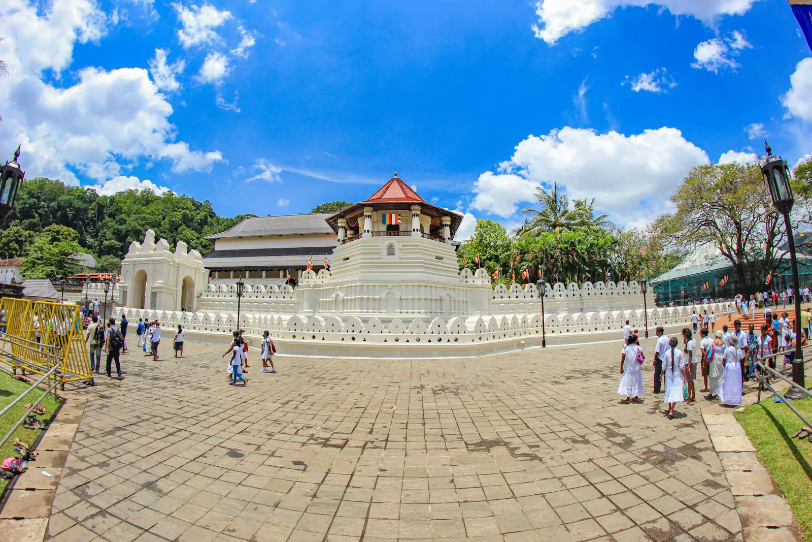 Transportmittel in Sri Lanka und Nepal: Guide für 2026
