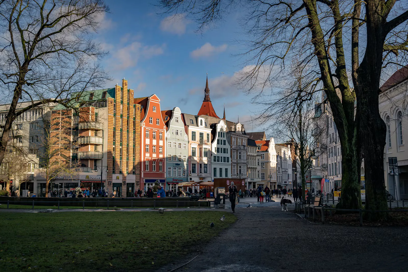 NC Medizin Rostock und Greifswald: Punkte und Chancen