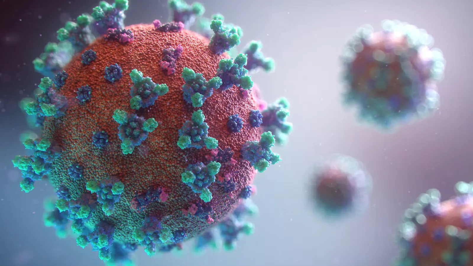 Chikungunya-Impfung vor Famulatur und KPJ im Ausland