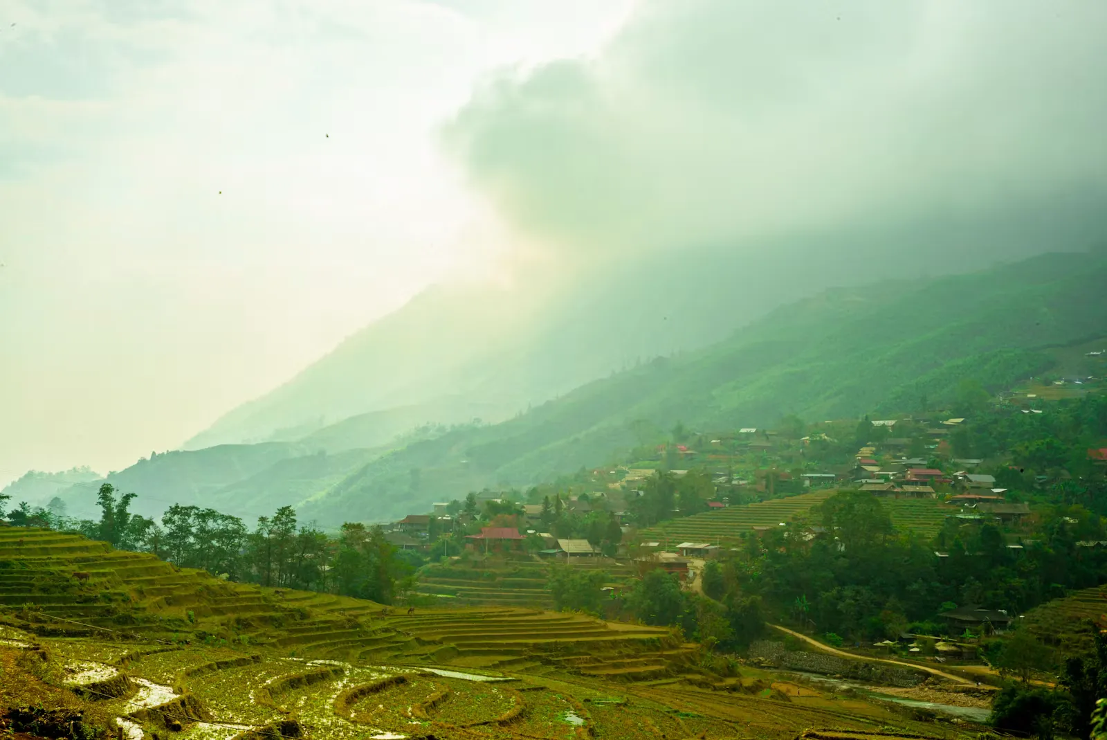 Terrassierte Reisfelder in einer nebligen Berglandschaft als Sinnbild für ein Auslandspraktikum in Sri Lanka oder Nepal