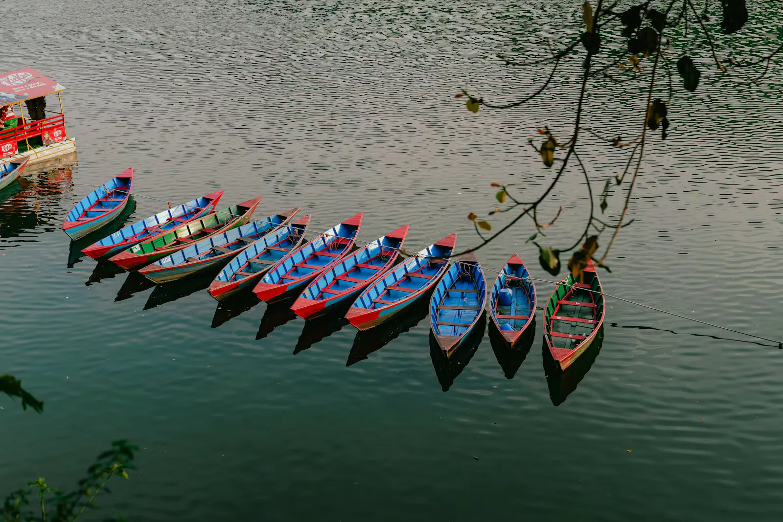 Colourful wooden rowing boats moored in a long row on a calm green lake under overhanging branches