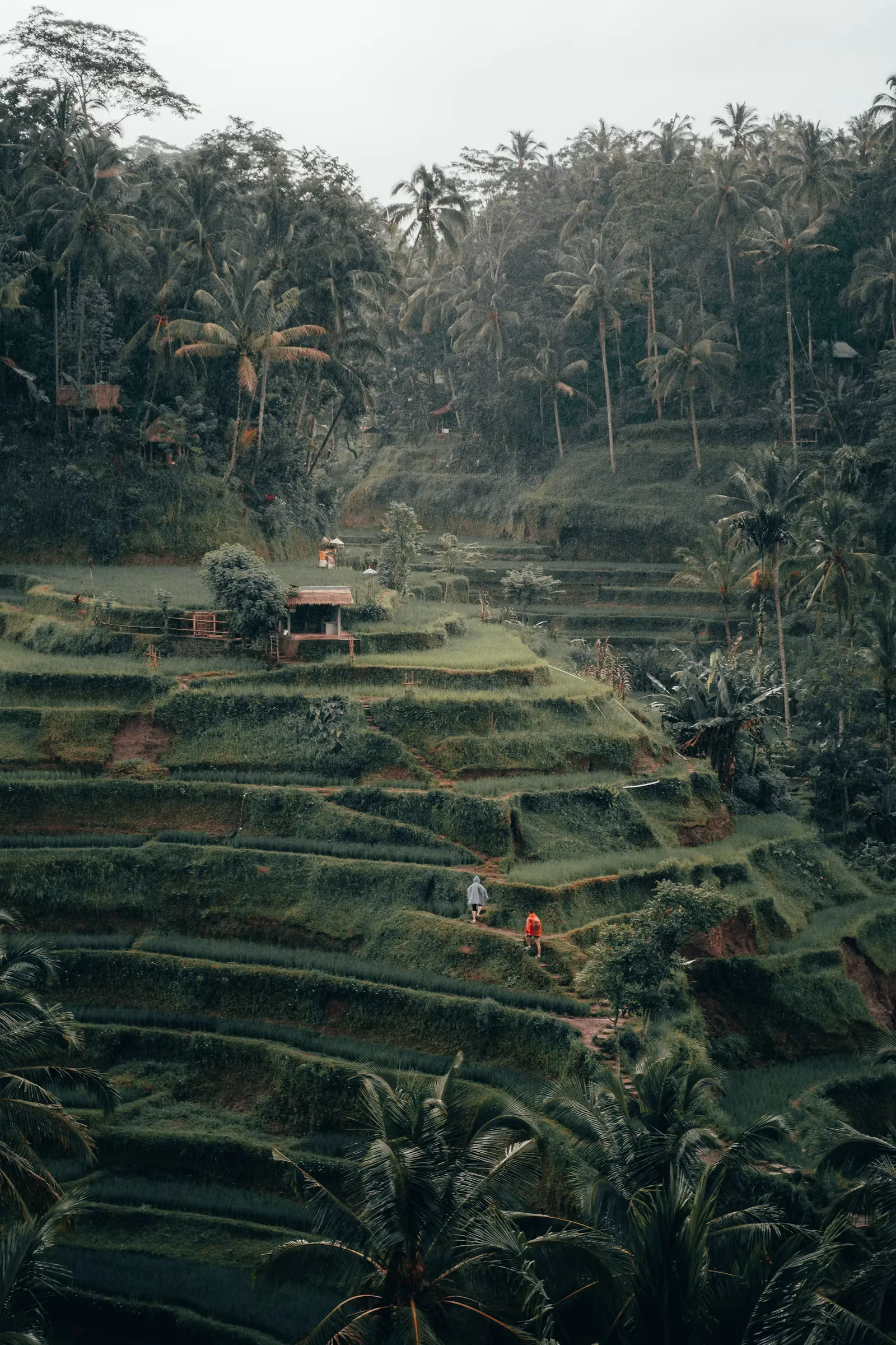 Pflegepraktikum auf Bali 2026: Kliniken & Anerkennung