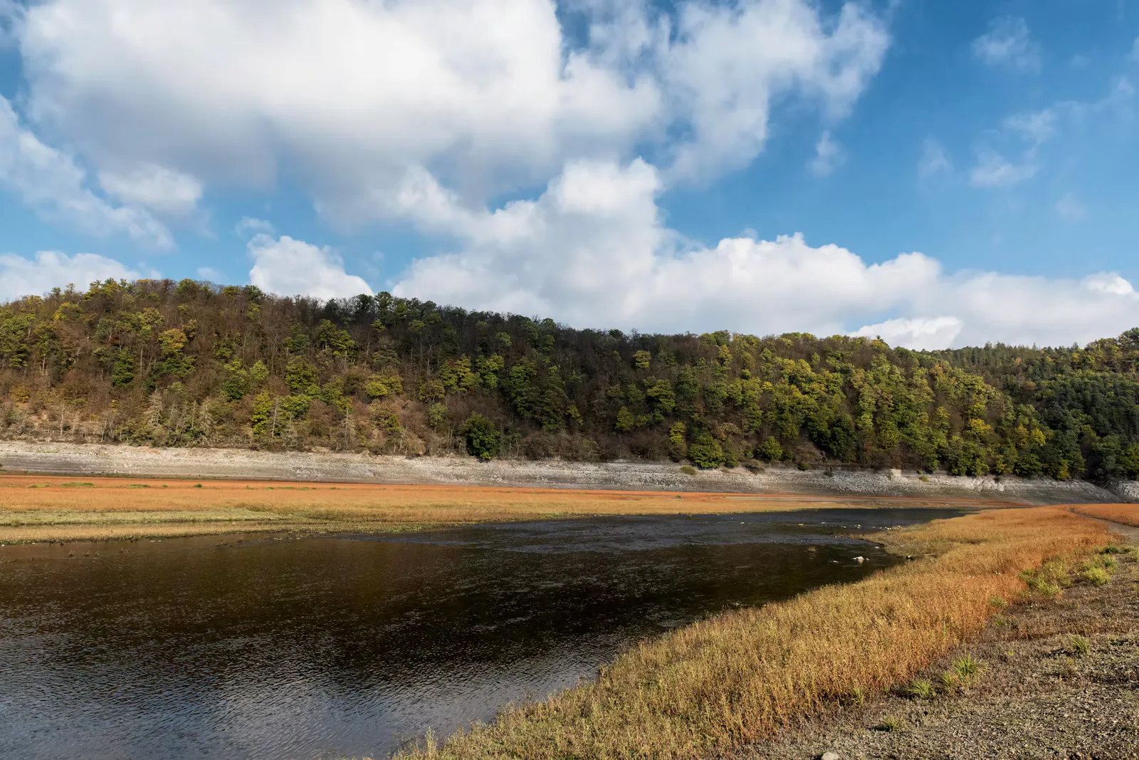Flacher See mit niedrigem Wasserstand vor einem bewaldeten Hügel im Herbst, darüber blauer Himmel mit Wolken