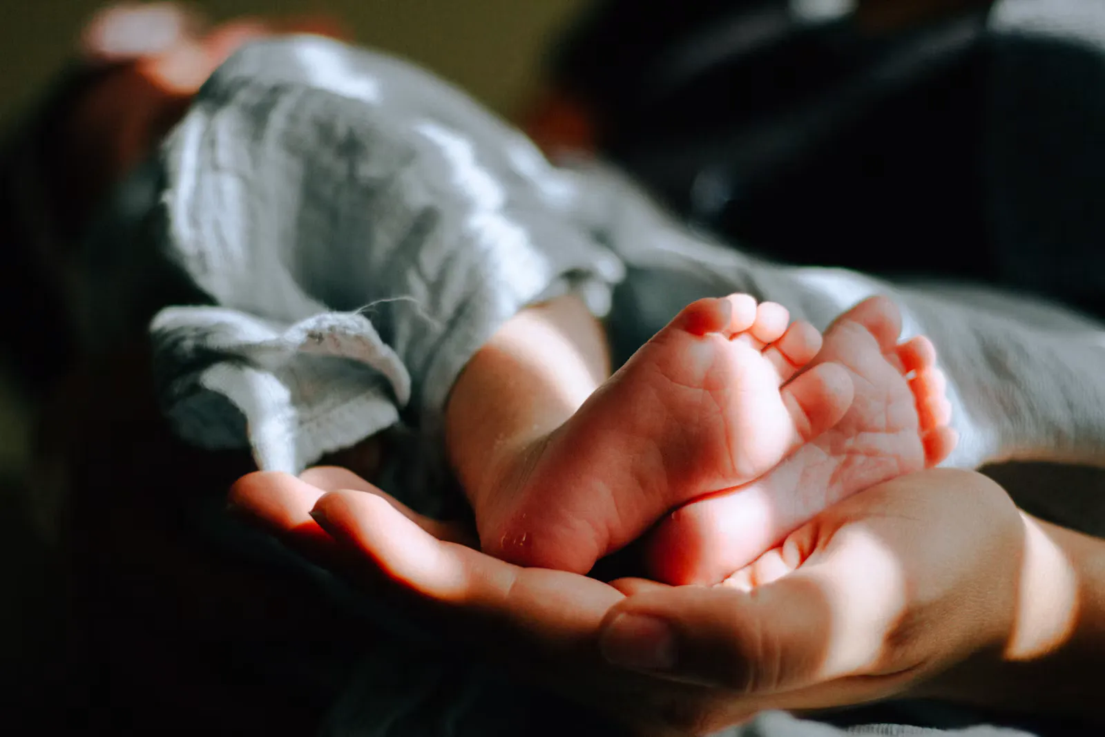 A newborn baby's bare feet resting in an adult's open palm in warm light, the end point of the human reproduction chapter