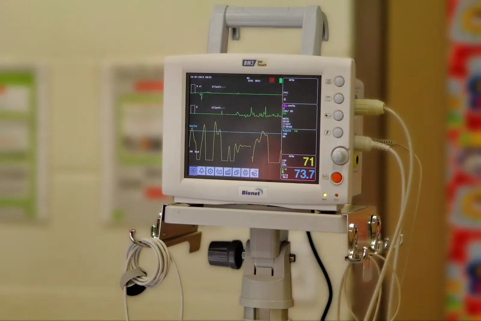 How to Become a Cardiologist in India: Real Timeline