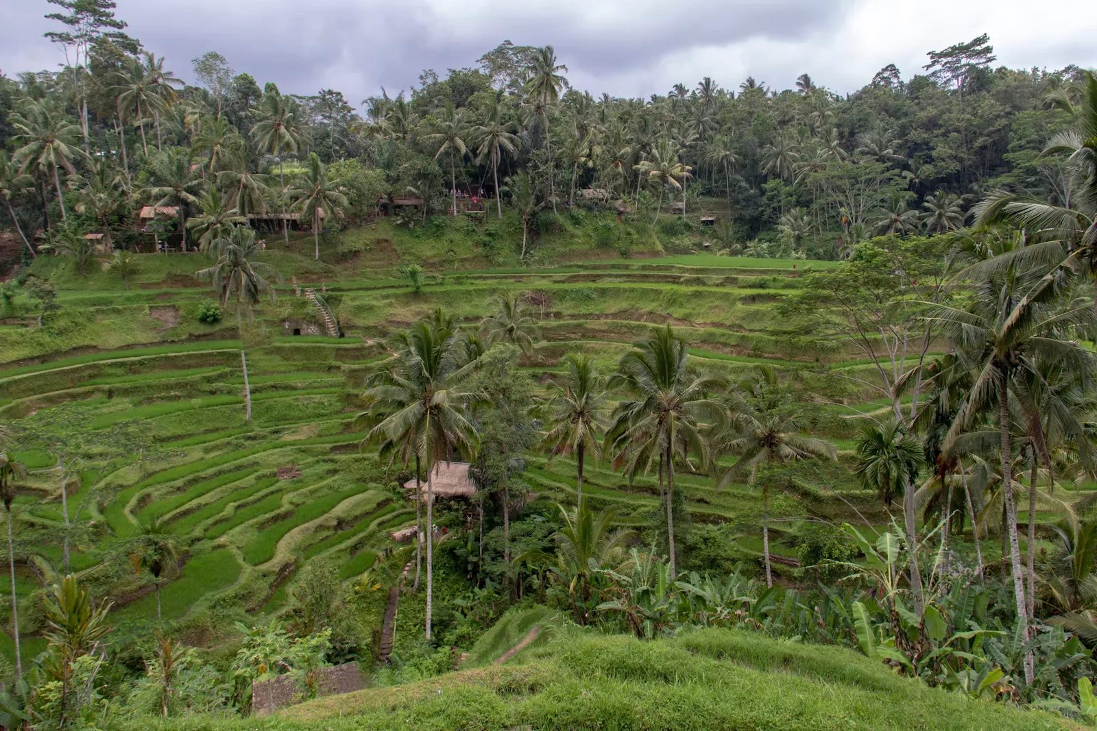 Pflegepraktikum auf Bali: Kliniken & Anerkennung Schweiz