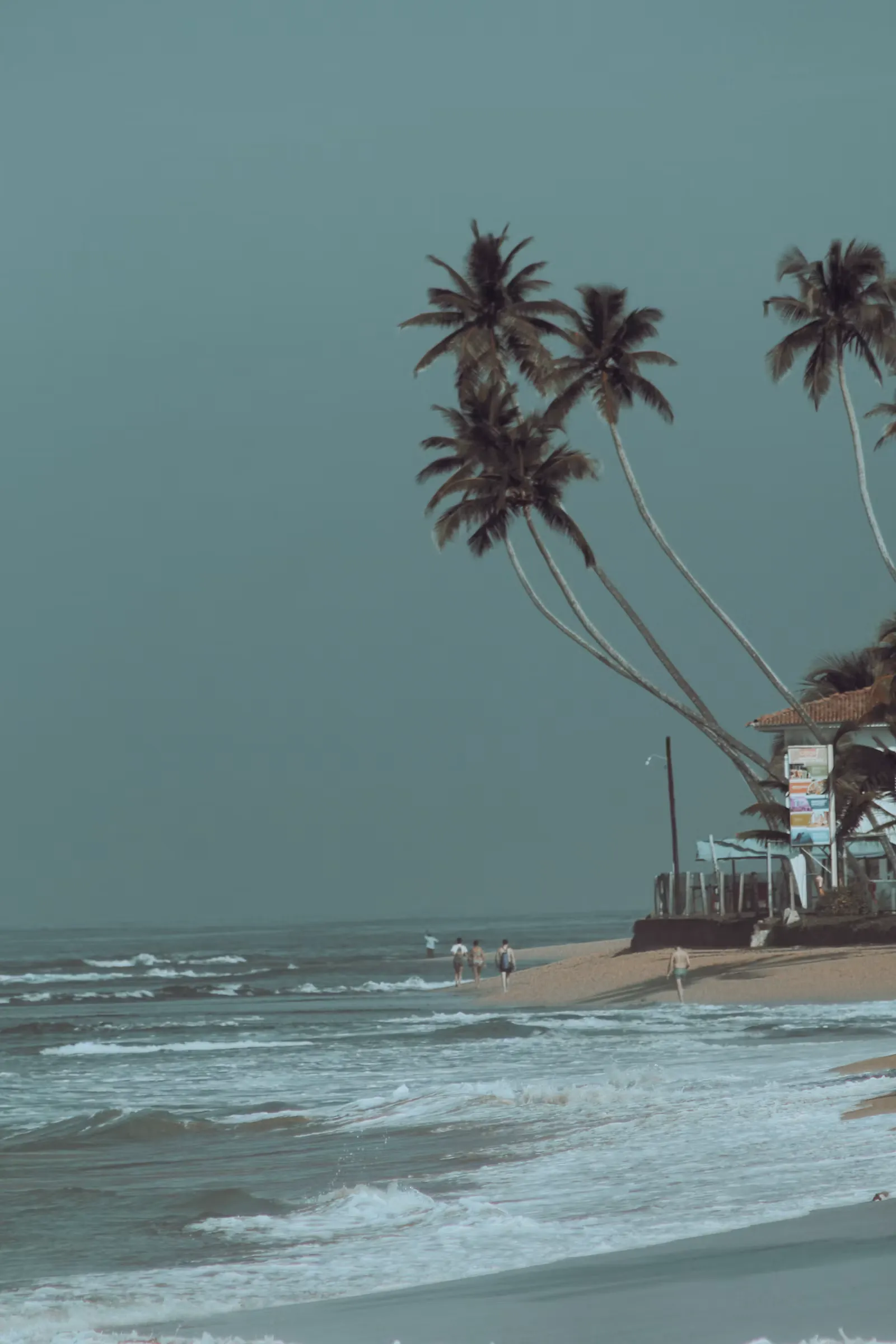 Palm-lined beach and pier in Sri Lanka, one of travel4med's land-based clinical clerkship destinations