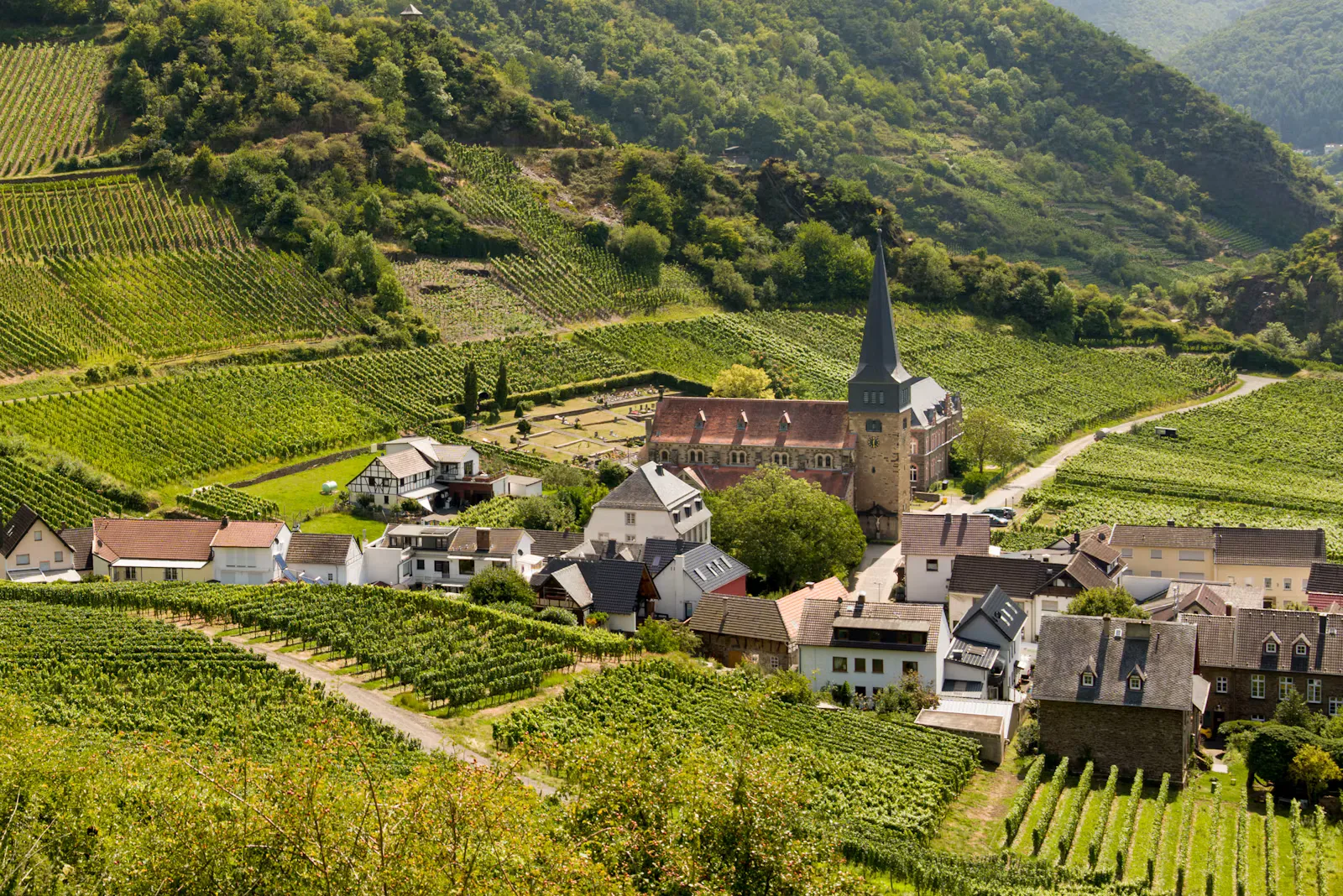 Landarztquote Rheinland-Pfalz 2027: Bewerbung und Punkte