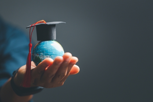 Best Colleges Abroad for Indian MBBS Students: How to Choose