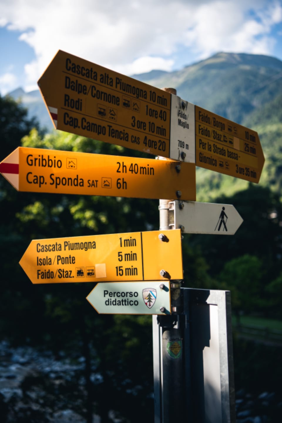 Medizinstudium im Ausland: Der komplette Guide 2026