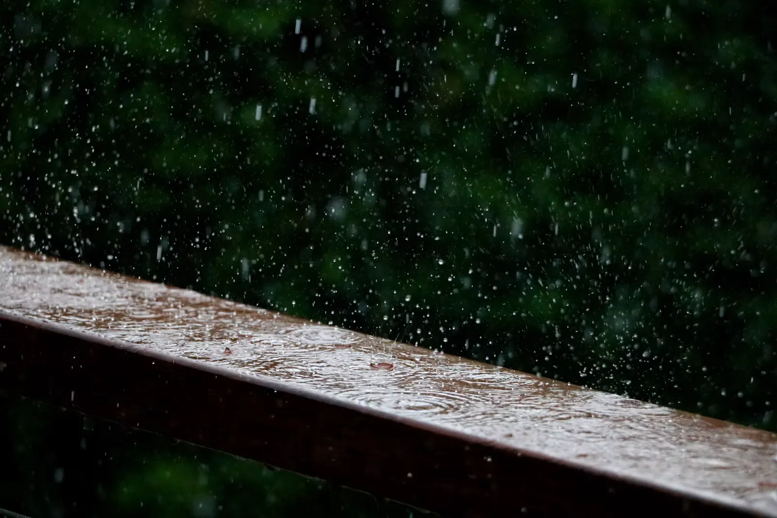 Regen fällt auf eine Holzbank, Symbolbild für die Regenzeit an tropischen Praktikumsstandorten