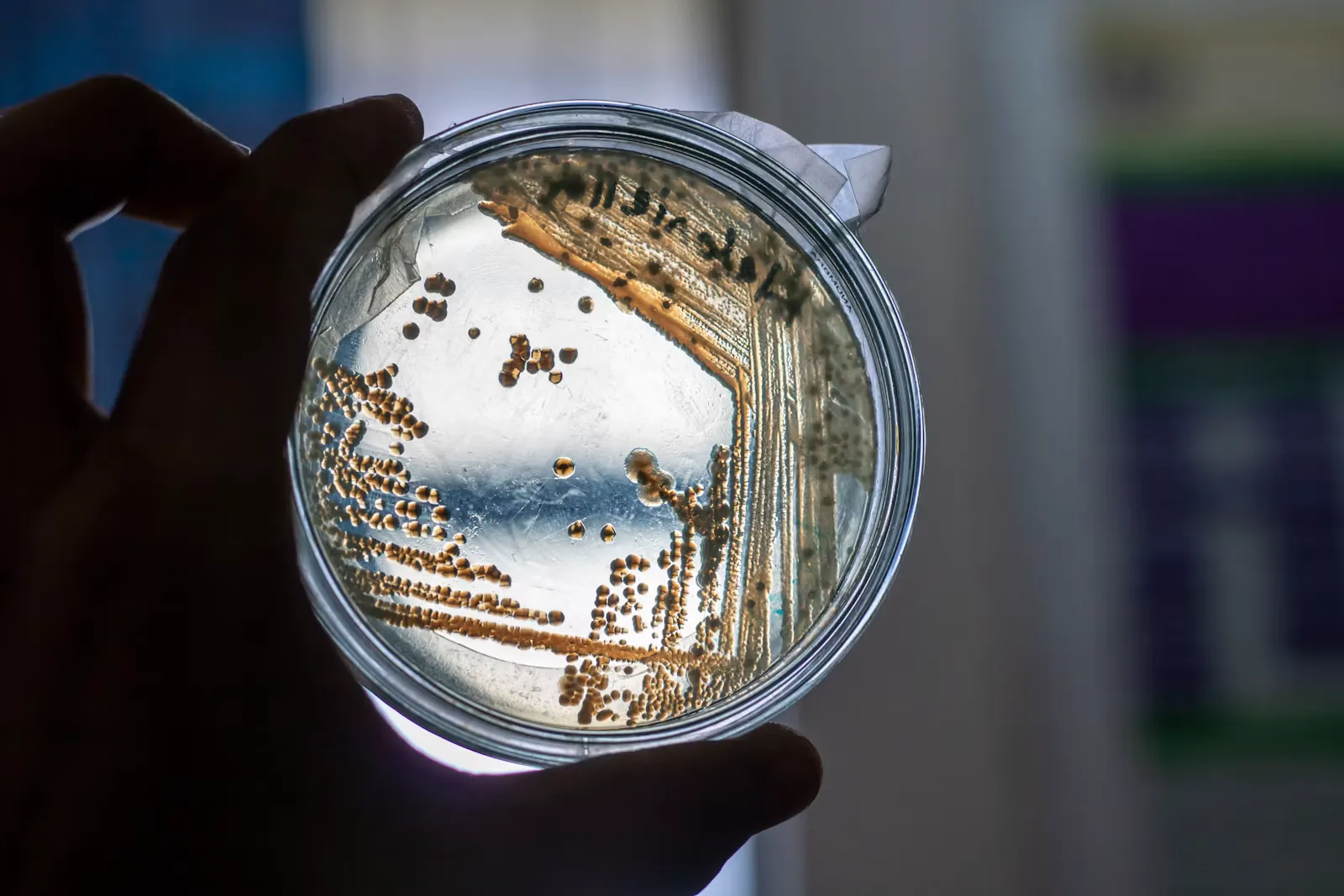 Antibiotic Resistance on Your Medical Elective Abroad