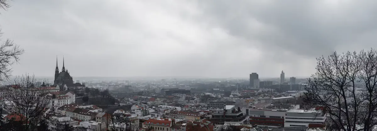 Wide view over Brno on a grey winter day, with the twin spires of the Cathedral of St Peter and Paul on the left, red rooftops and modern towers on the horizon