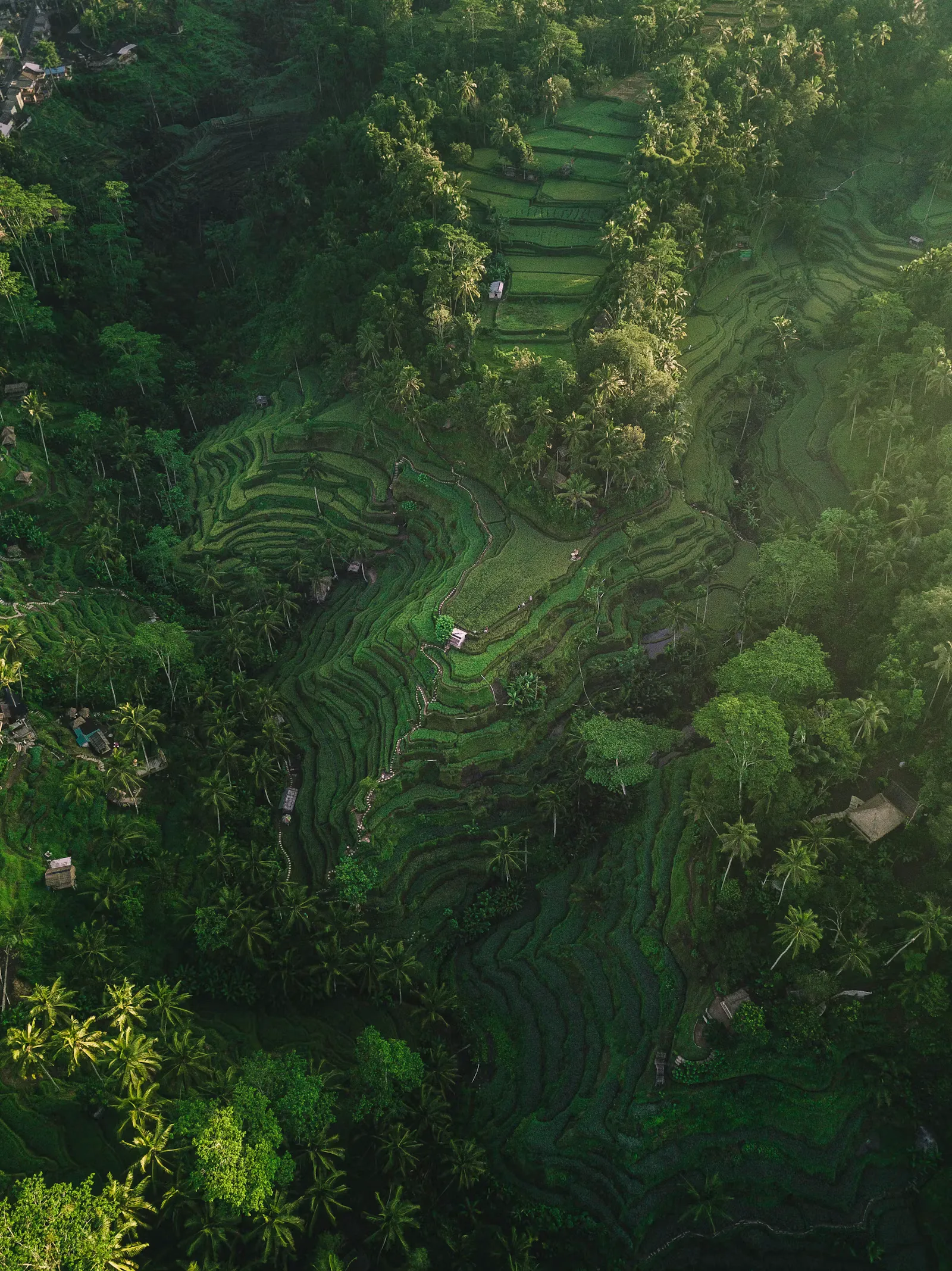 Clinical Clerkship in Bali: Hospital, Visa and Health Guide