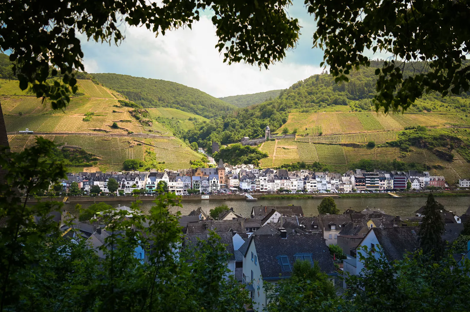 Kleinstadt mit weißen Häusern an einem Fluss zwischen Weinbergen, durch Baumkronen von einem Hang aus gesehen