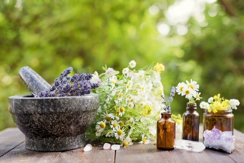 How to Become a Homeopathic Doctor in India: 2026 Guide