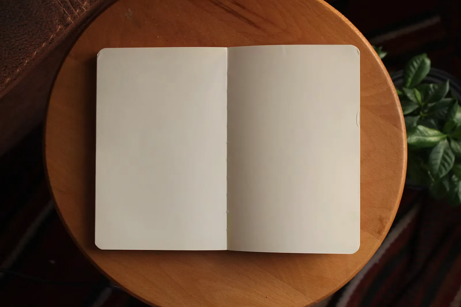 An open notebook with two blank cream pages lying on a round wooden side table, a leafy green plant just behind it