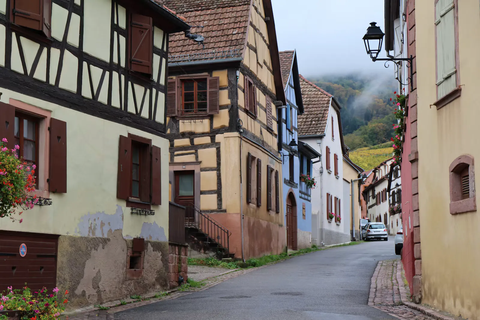Landarztquote Hessen 2027: Bewerbung, Punkte und Fristen