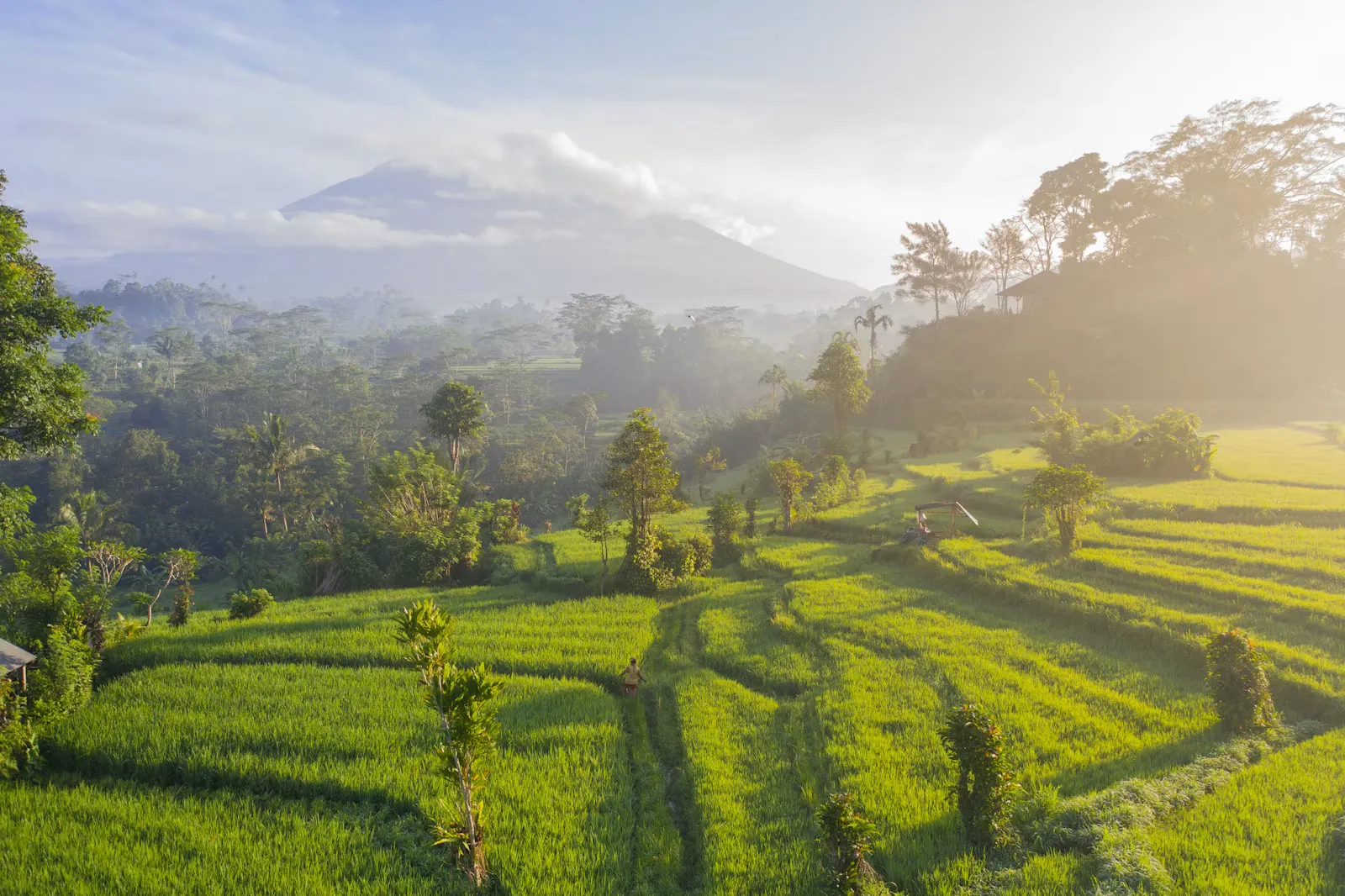 Clinical Clerkship in Zanzibar: Hospital & Visa Guide