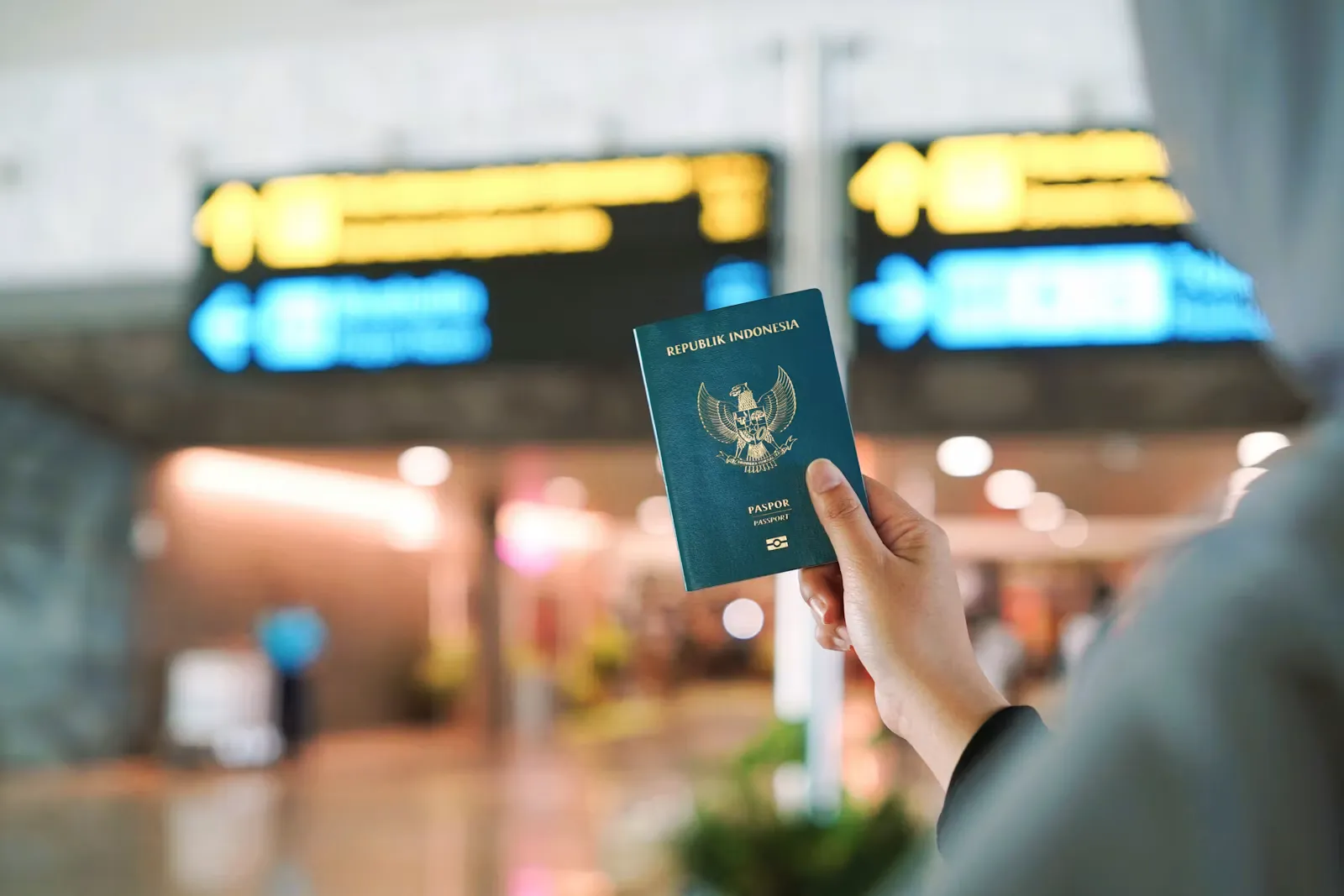 Reference Letter for a Medical Elective Abroad: Full Guide