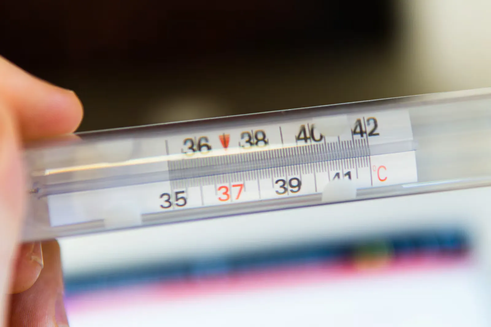 Nahaufnahme eines klassischen Fieberthermometers mit Celsius-Skala von 35 bis 42 Grad in einer Hand, Sinnbild für die Fieberkontrolle nach der Rückkehr aus Ostafrika