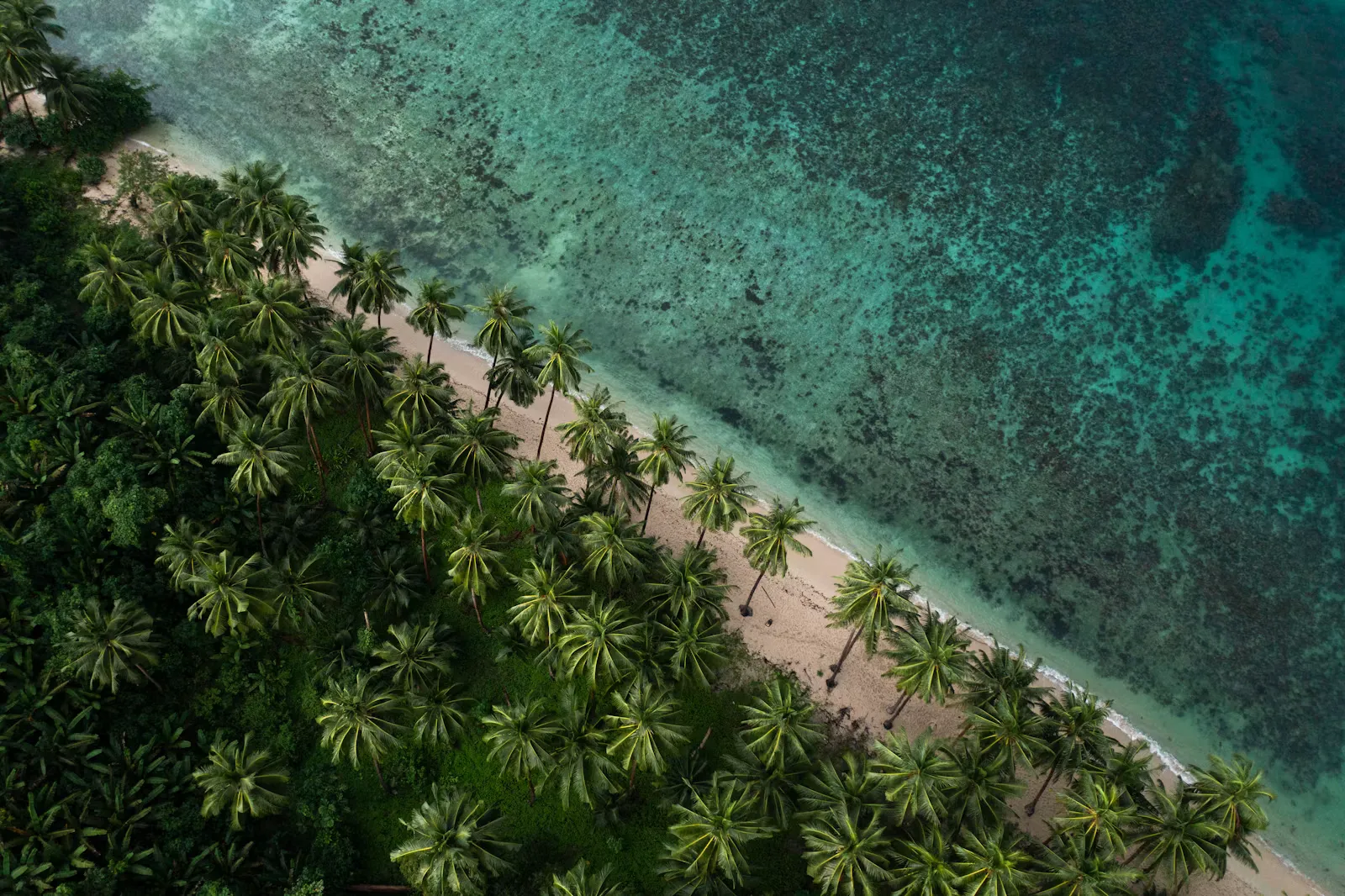 Tropischer Strand mit Palmen und türkisfarbenem Wasser aus der Vogelperspektive als Sinnbild für die geprüften travel4med-Standorte in Asien