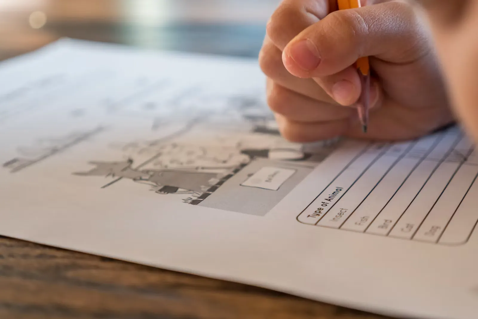 Hand mit orangefarbenem Stift füllt auf einem Holztisch ein Arbeitsblatt mit einer Tabelle aus, Sinnbild für die Schulzeugnisse, die dem Antrag beiliegen müssen