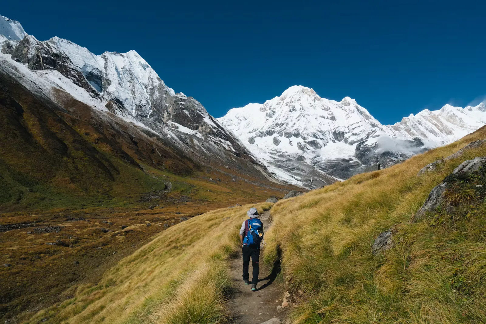 Trekker standing on a grassy slope below snow covered Himalayan peaks in Nepal, the point on a post elective trek where altitude sickness starts to matter