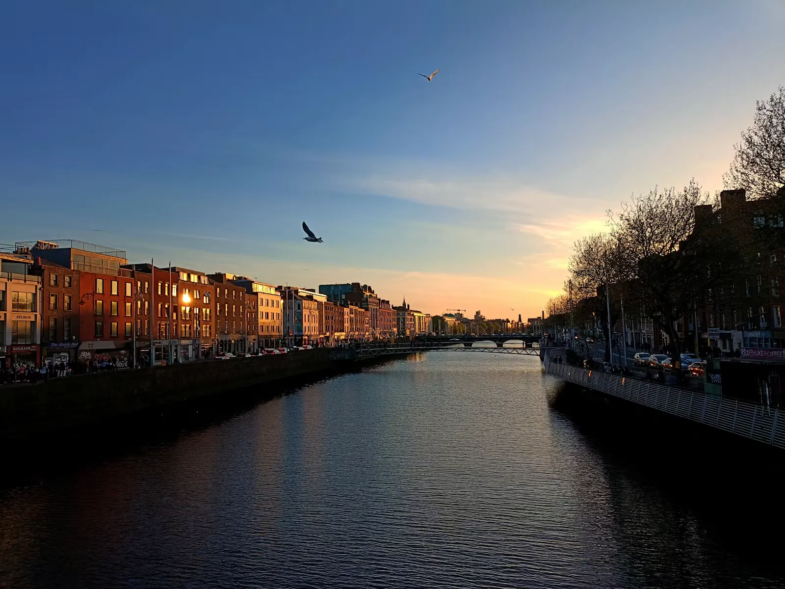 How to Work as a Doctor in Ireland After an EU Degree
