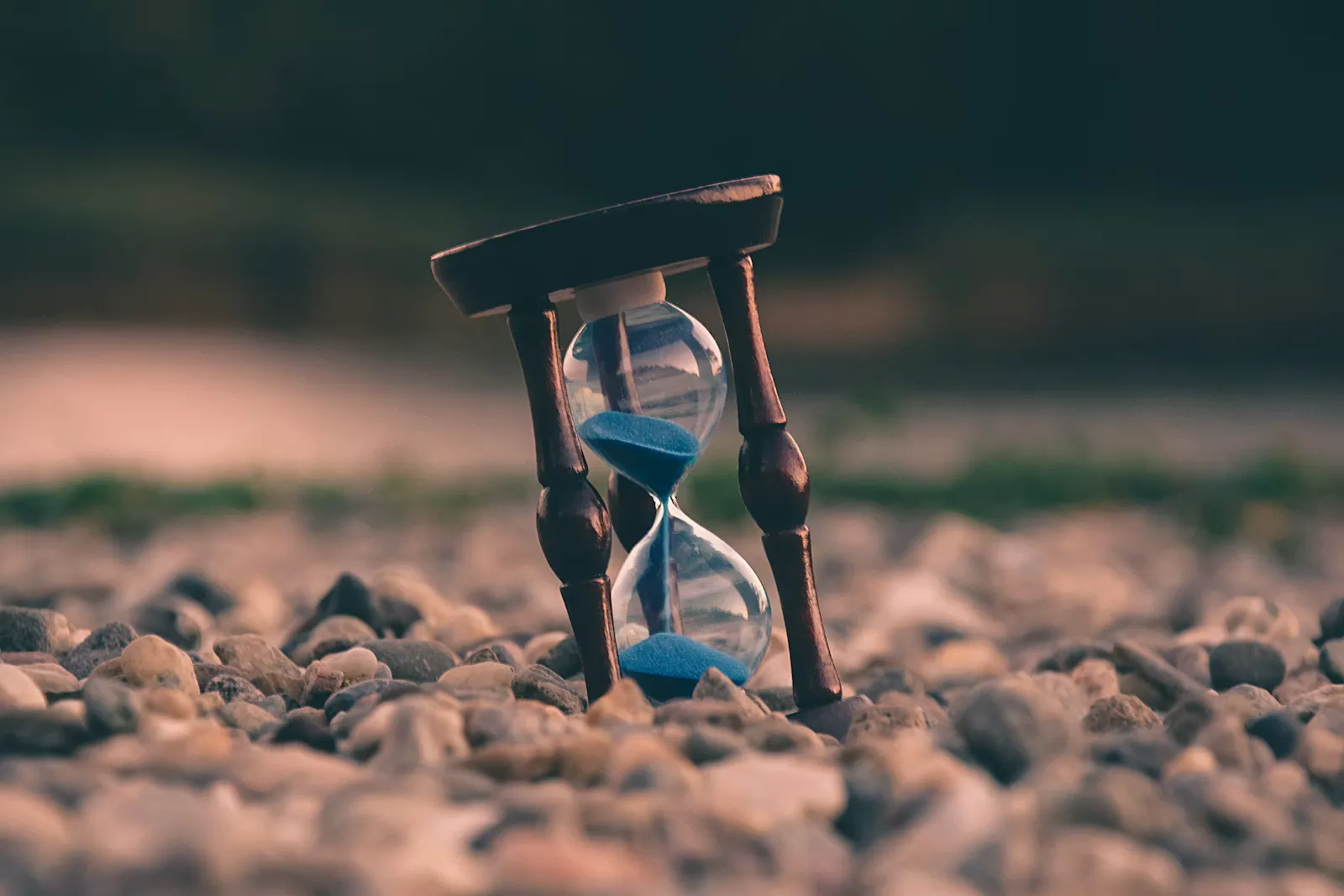 Wartesemester berechnen: So zählst du richtig (2026)