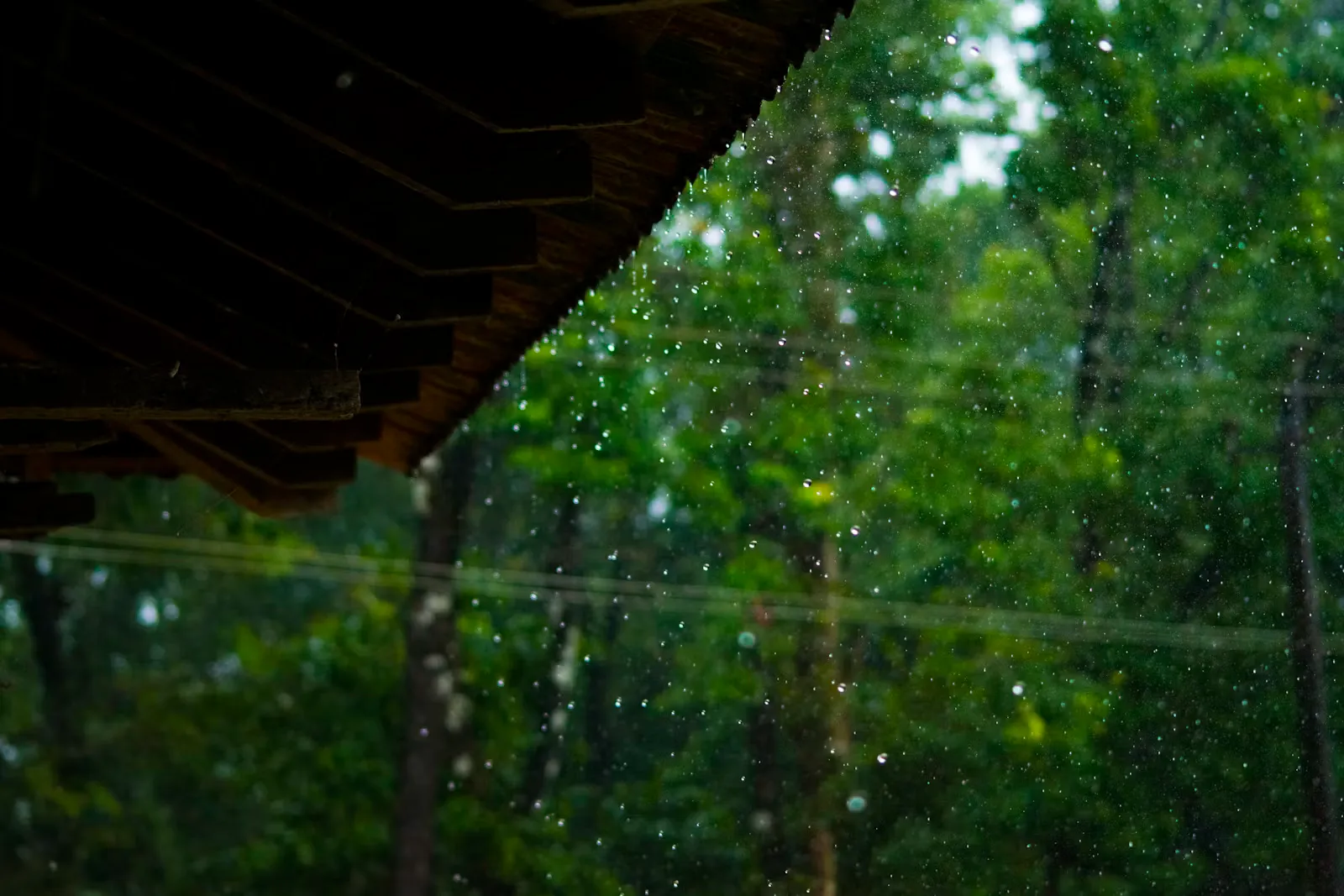 Blick durch ein von Regen benetztes Fenster auf grüne Bäume