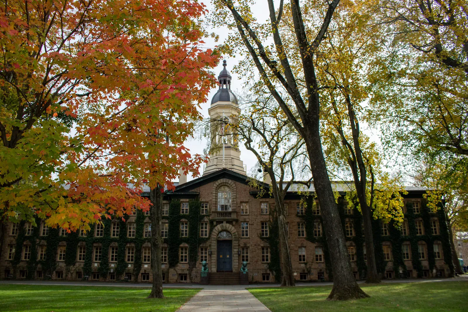 Medical University Transfer to Europe: The Real Rules