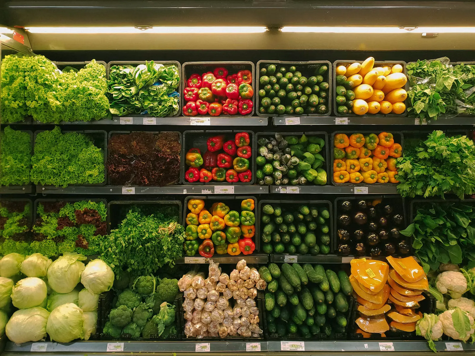Supermarket shelves with fresh groceries, the second-largest monthly expense for Indian MBBS students living in Europe