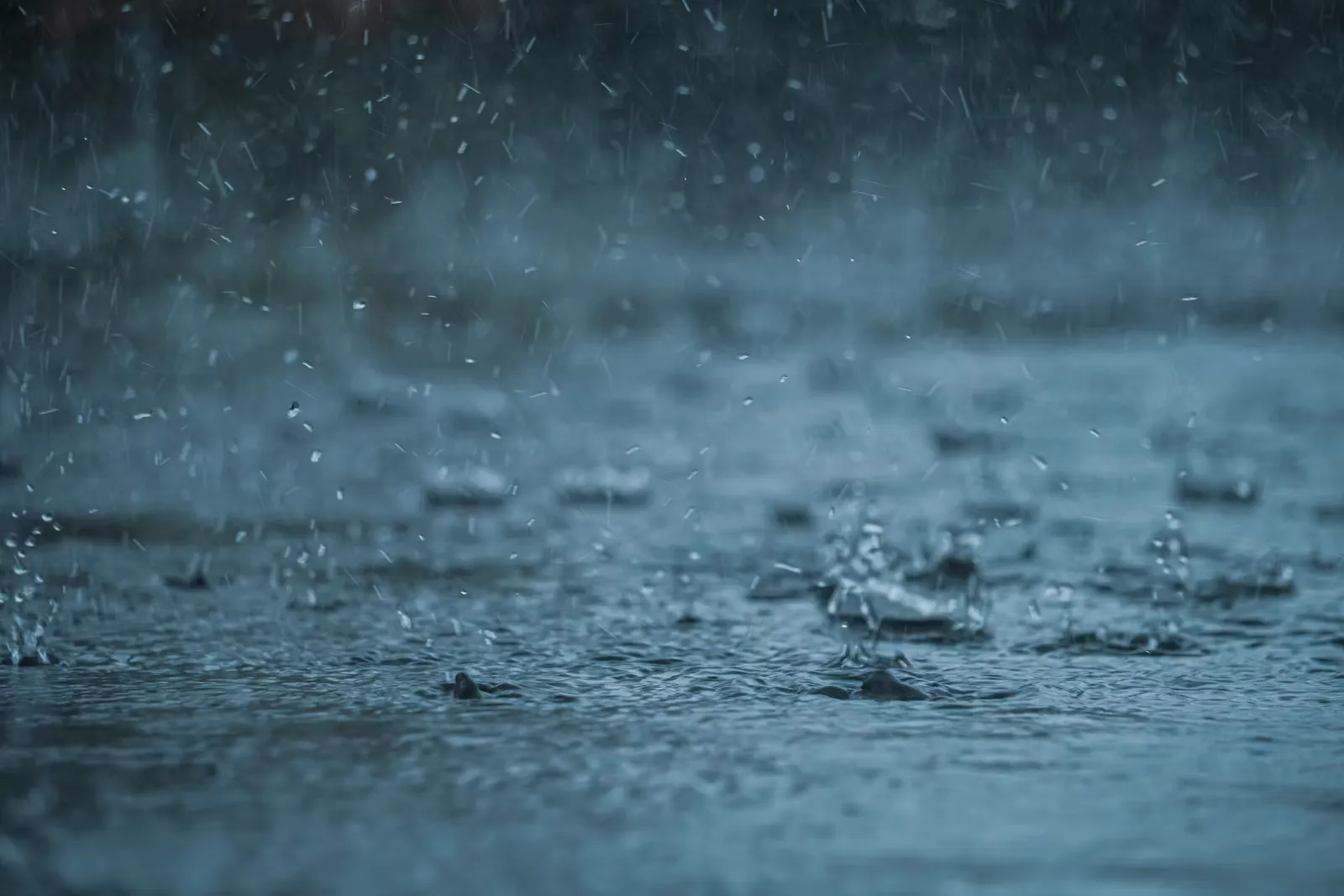 Starker Regen trifft auf eine dunkle Wasseroberfläche und lässt Tropfen aufspritzen