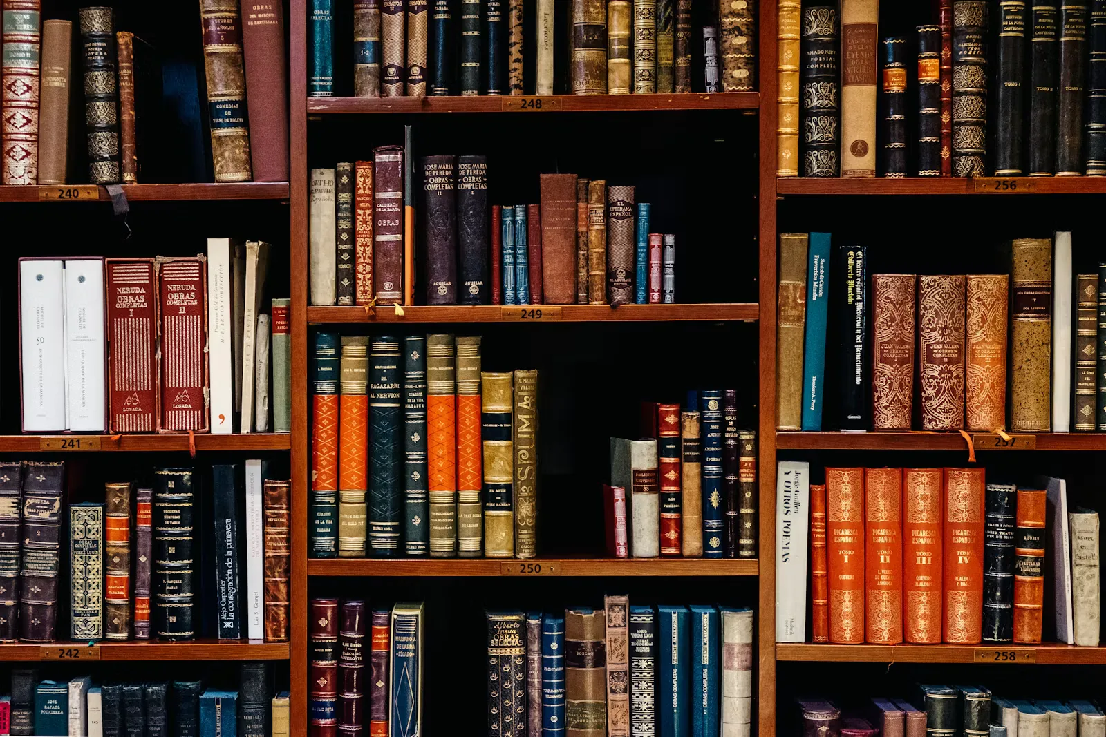 University library with long shelves of books and reading lamps, where medical students in Europe balance part-time work against long study hours