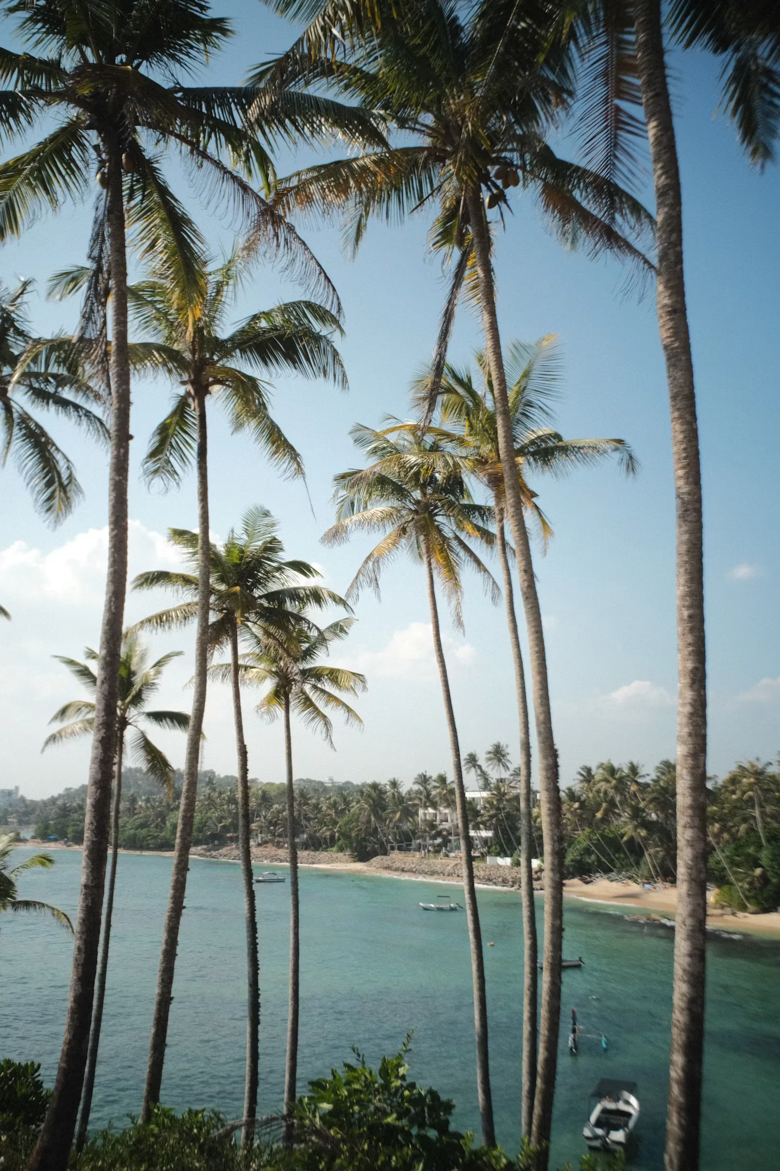 Palm-lined tropical beach shoreline in Sri Lanka, one of travel4med's land-based clinical clerkship destinations