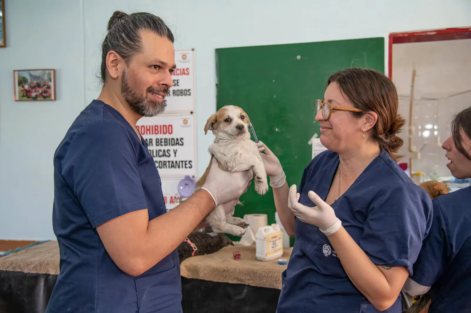 Tiermedizinisches Team in dunkelblauer Arbeitskleidung, ein Mann hält einen hellbraunen Welpen, eine Kollegin mit Handschuhen steht daneben